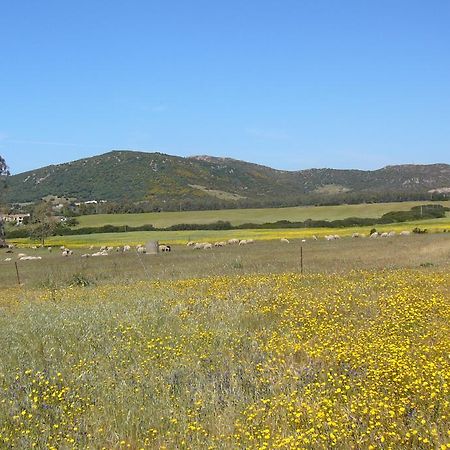 B&B Le Vele Teulada Dış mekan fotoğraf