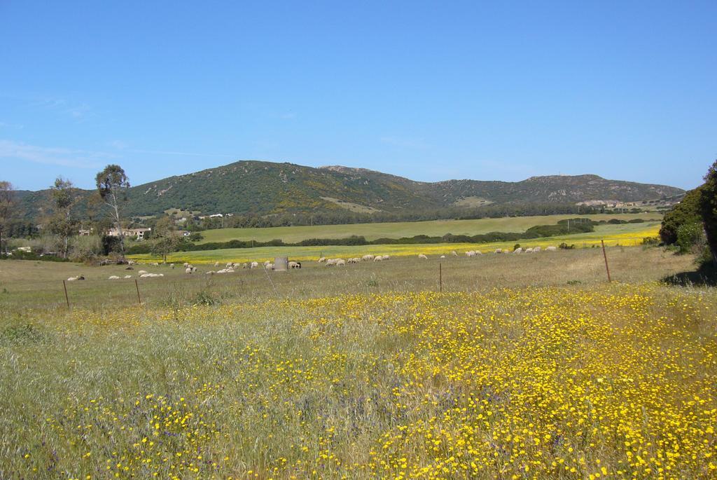 B&B Le Vele Teulada Dış mekan fotoğraf