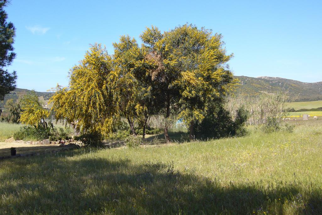 B&B Le Vele Teulada Dış mekan fotoğraf